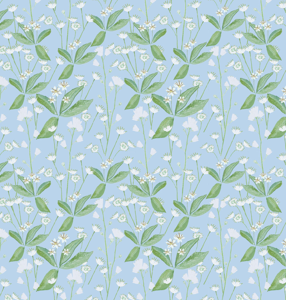 Lillipad Blue