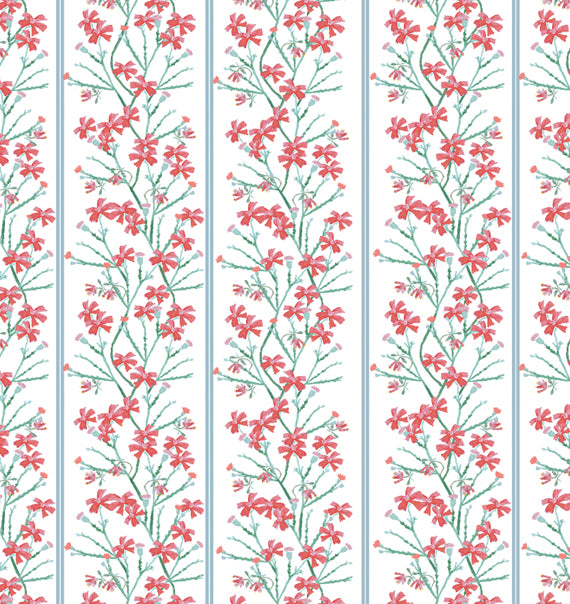 Primrose Red Blue