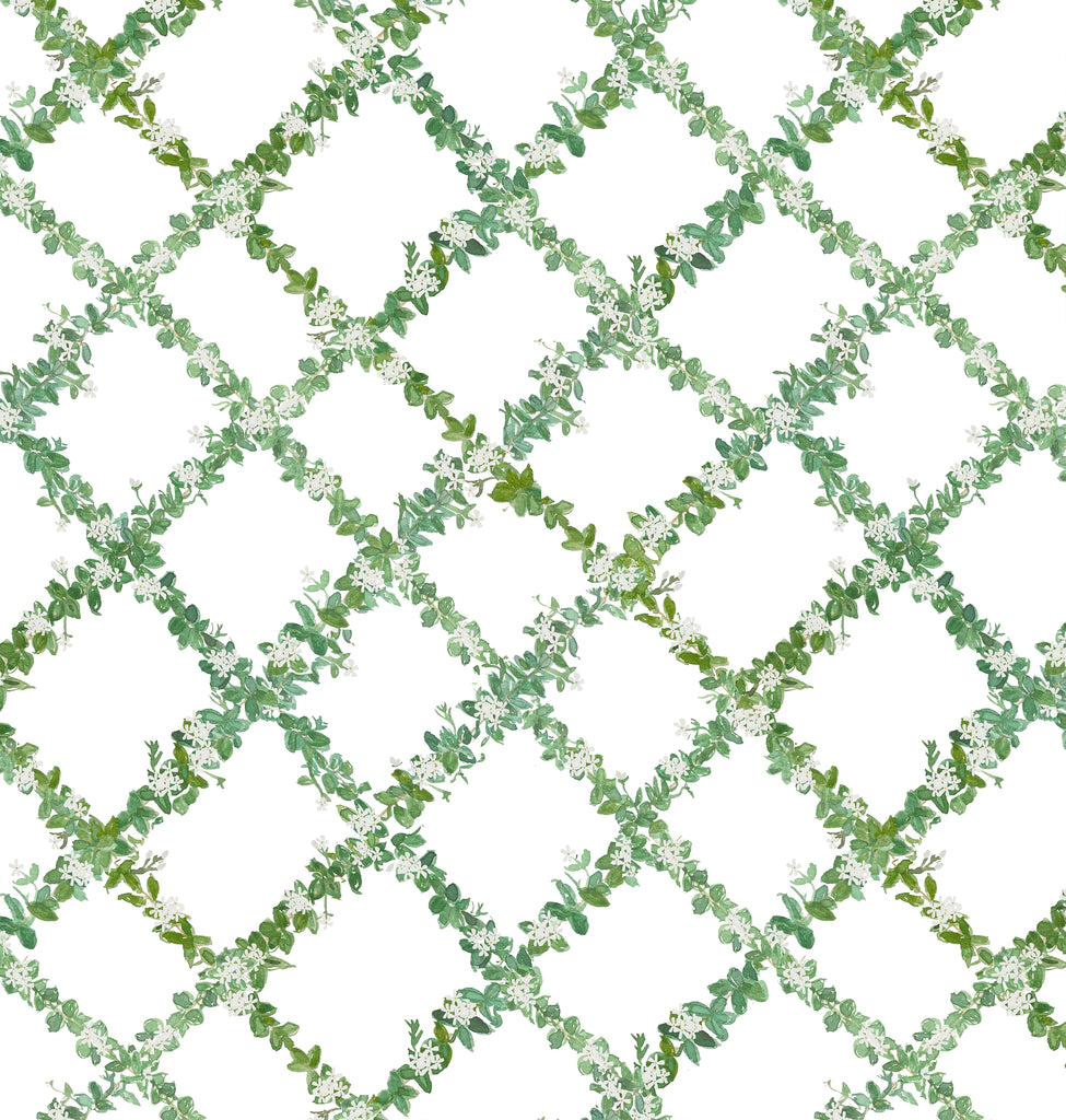 Jasmine Linen