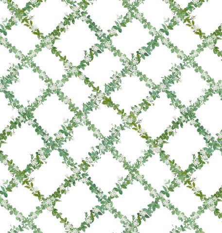 Dot Green Wallpaper